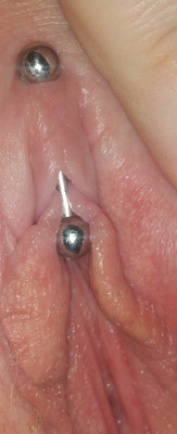Nice closeup of a vertical clithood piercing (VCH).