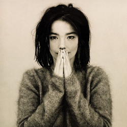 thenewentertainments:  Björk