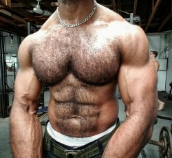 skippypodar:  An ultra hairy chest at any angle still looks manly. 👍💪https://www.connectpal.com/rachiflex