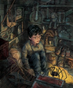 guardian:  Mischief managed: illustrations from the new edition of Harry Potter | See full gallery From the multi-coloured sorting hat to the red glow of Ron’s hair, we revel in Jim Kay’s glorious pictures for the new illustrated edition of Harry