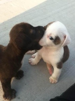 First kiss be like..