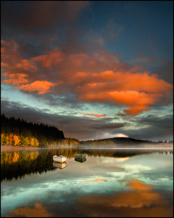 northguyblog:  opticallyaroused:   Loch Rusky Reflections   Stuart Low   OMG! 