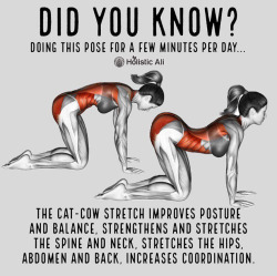 surprisebitch: nocturan:  homofied: What’s this from? “Stretching for Bottoms”?    i knew there was gonna be a comment about bottoming after scrolling down 