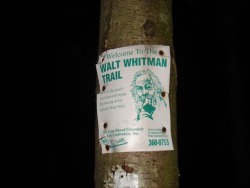 Legend has it the ghost of Walt Whitman is still seen today walking through the woods of Jaynes Hill.  The area is also said to be a hot-bed of UFO activity. This is probably due to the close proximity to Mount Misery which is also said to be an active