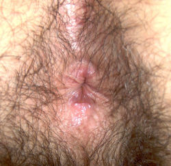 puromachomx:  hottboyholes:  i could stare at this hole all day!   I hear ya…! so beautiful! 