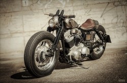 rebelsmachine:  Harley-Davidson …