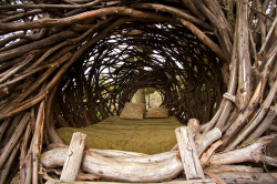 traveler-wanderer:  My friend’s dad built this human bird nest at a resort called Treebones in Big Sur. It is truly wonderful and it overlooks the ocean :)