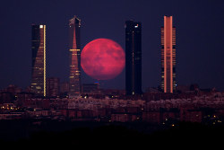 The moon shines through the Four Towers Madrid skyscrapers on Aug. 11, in Madrid, Spain. Gonzalo Arroyo Moreno / Getty Images