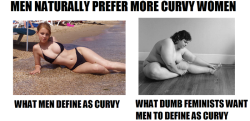 Ignoring the vaguely angry and inappropriate picture/caption on the right, TOTALLY.  When I say curvy&hellip; I mean CURVY.  Its not code for overweight ffs&hellip;