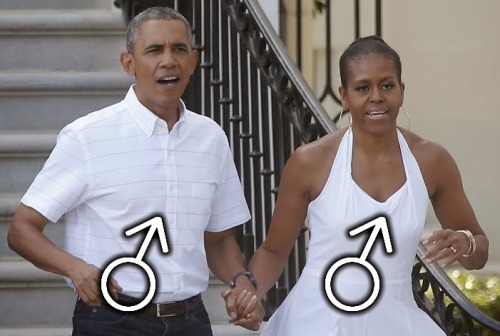 Michelle obama bulge