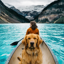 eternal-nova:  boredpanda:    Human Takes His Dog On Epic Adventures, Proves That Dogs Are The Best Travel Buddies    I love this dog.