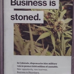 Just seen this on the side of a phone booth on 34 it was bad until they could make money off of it..now it&rsquo;s a blooming business that Bloomberg approves&hellip; #we'vebeenokingforyearstho #growyourown #weedisforallofus #getyastockin #howdoyoufeelabo