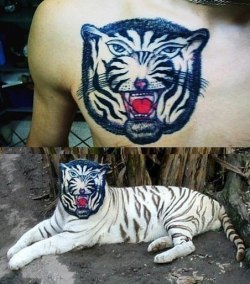 awfulmodifications:  1337tattoos:  remember guys, always look for professionals!  I assume you guys have all seen at least one of these before, but they’re cracking me up 