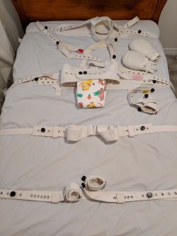 squidgydl: boundabdl: Segufix gear is once again ready for occupancy.  Going to be a fun weekend.  Want! 
