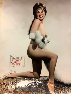 Sheila Darcel             “The SHAKER”..One of a handful of posters that survived the 1978 demolition of the ‘ROXY Theatre’  in Cleveland, Ohio.. These large hand-tinted posters adorned spaces  along the facade and marquee of this popular