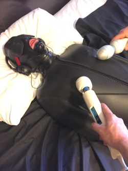 feelingknottycda:  The drone’s conditioning is facilitated by positive reinforcement. And if stimulating one nipple is good, then two must be better!  Ruff! I am all for this