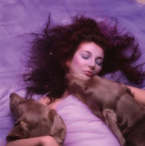 arubandeity: kate bush with her dogs bonnie and clyde for “hounds of love” photoshoot