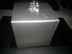 Eeeeeeeeeeeeeeeeeeeeeeeeeeeeeeeeeeeeeeeeeeeeeeee. Tchernobog sent me a packet, after opening there was this little small silvery giftbox inside and I already suspected he&rsquo;s finally going to propose to me! Or maybe bribe me to leave the vile path