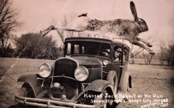 Jack Rabbit on the Run, Kansas, 1935.