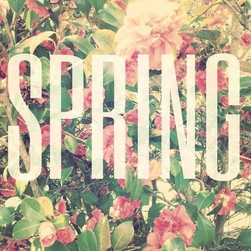 spring quotes on Tumblr