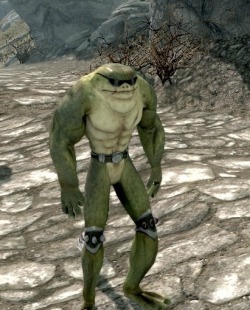 retronauts:  astronomiee:  Battletoads mod for Skyrim  Modders, next time you start working on yet another Skyrim nude/sex mod, remember this image and think to yourself, “I should aspire to something better.” 