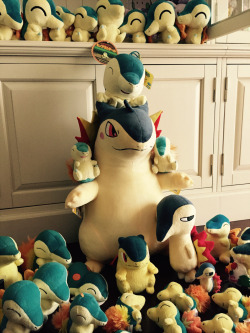 bonersniper:  dicknurse:  Side-eye cyndaquil is a must have   Cyndaquil is my fav and I still don’t have one