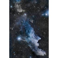 The Witch Head Nebula #nasa #apod #witchhead #nebula #ic2118 #rigel #Orion #star #stars #gas #dust #halloween #universe #intergalactic #interstellar #space#science #astronomy