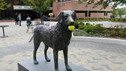 penroseparticle: squigglydigg:  Somebody gave our mascot statue a tennis ball.   good he deserves it 