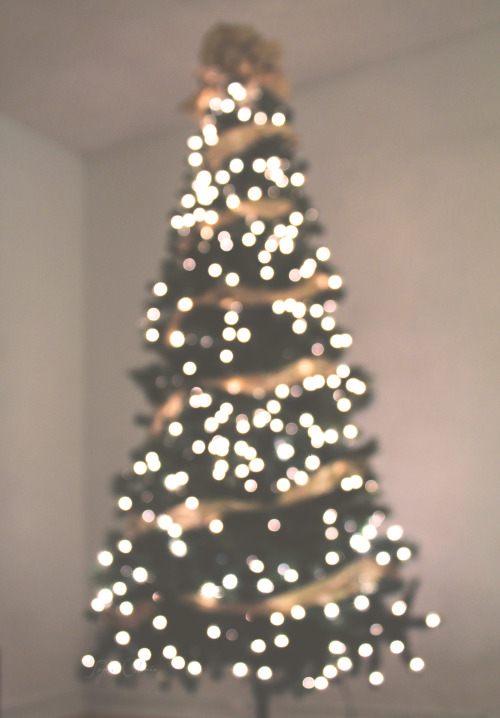 Vertical Lights On Christmas Tree - canvas-leg