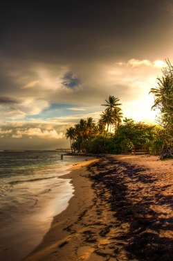 trilithbaby:  makxveli:  Caribbean Sunset on Guadeloupe by: [ Hans Gurk ]   Places I’d rather be  escape&hellip;.please&hellip;.