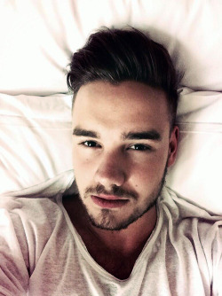 mr-styles:  @Real_Liam_Payne: Could stay in bed all day  
