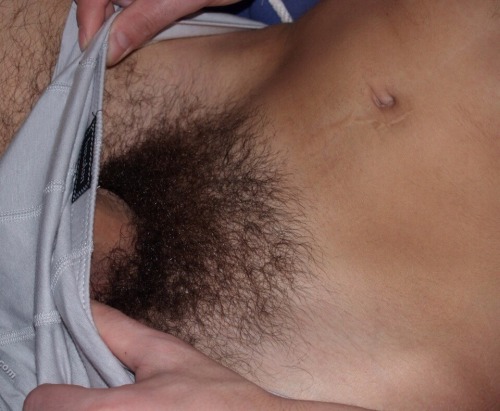 Male pubic hair
