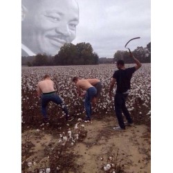 I&rsquo;m done with Tumblr today #happyblackhistorymonth #mlk #tumblr #amess