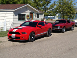 cougar67:  Shelby GT 500 and a 70 Mach 1