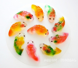 simonsaquascapeblog:  Other: Koi fish jelly recipe They look delicios! Learn how to cook them here. 