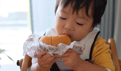 gn-a:  世界一ハンバーガーをおいしそうに食べる1歳児 