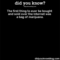 did-you-kno:  The first thing to ever be bought and sold over the Internet was a bag of marijuana. Source