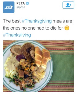 jadee-love:  dynastylnoire:  norrmanikordei:  but isn’t…..thanksgiving…..a holiday commemorating…..the disgusting genocide of innocent…..native americans……or…..    You know white folk care more about dogs,cats and wild zebras more than