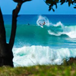 cbssurfer:  Coco Ho… fins free, live free