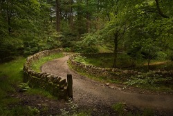bluepueblo:  Stone Walled Path, Lancashire, England photo via persephone 