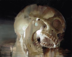  Skull Study series - Kim Cogan 