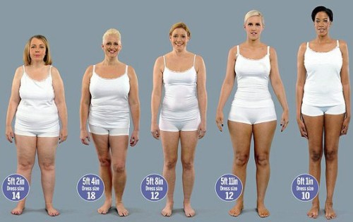 Body fat percentage