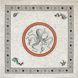 museum-of-artifacts:  Octopus Mosaic in Pompeii, Italy  #octopus #mosaic #art #history #italy #museum #pompeii #l4l 