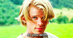wackd:  atopfourthwall:  thefingerfuckingfemalefury:  theresadiamondunderthedust:  You either love The Princess Bride or you’re wrong.  THOSE ARE THE OPTIONS YOU HAVE  Give him a break. He’s been mostly dead all day.  If a more quotable movie exists