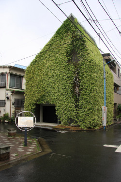 ethertune:  Green House (By Naoya Fujii) 