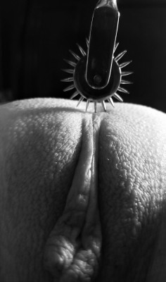 okie-wife-share:  okie-wife-share:  Who doesn’t like a good tease with the Wartenberg Pinwheel …  One of my favorite pictures we have ever taken. Just seems artistic. Idk.