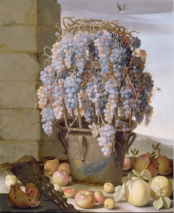 renaissance-art: Luca Forte c. 1630 Still life with Grapes 