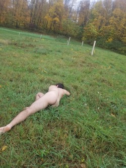 quiet–dominance: Just a little wood nymph taking a nap in the wet grass.  (Please don’t remove my caption or repost) 