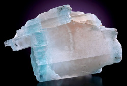 fuckyeahmineralogy:  (via exceptionalroom3) “Aqua-Morganite”, or morganite (the pink form of beryl) terminated by aquamarine (blue beryl) tips.