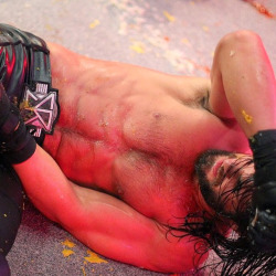 rwfan11:  Seth Rollins after the hotdog cart massacre